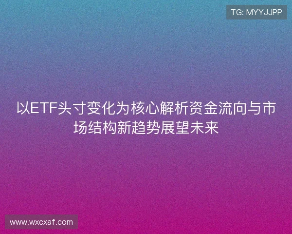 以ETF头寸变化为核心解析资金流向与市场结构新趋势展望未来 以ETF头寸变化为核心解析资金流向与市场结构新趋势展望未来